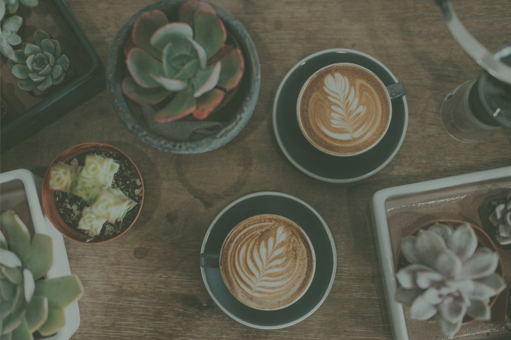 Sprout Plant Parlour & Café