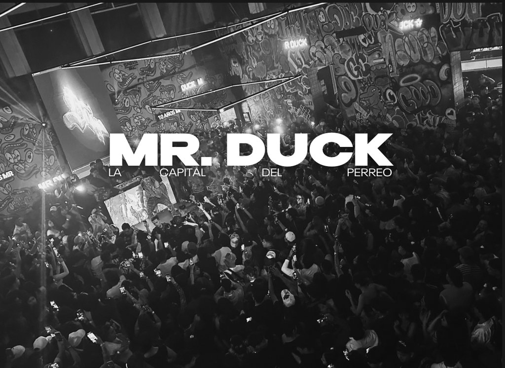 Mr. Duck