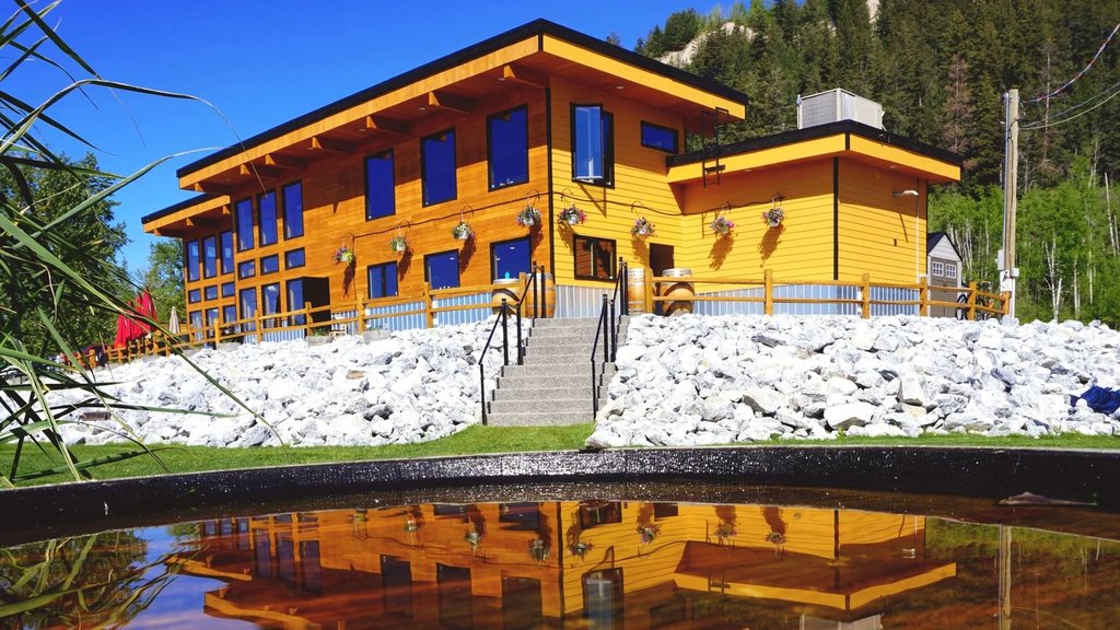 Northern Lights Estate Winery