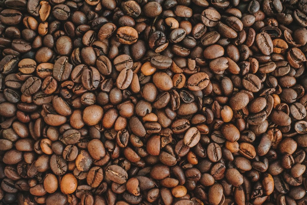 Aspen Coffee Roasters - Roastery